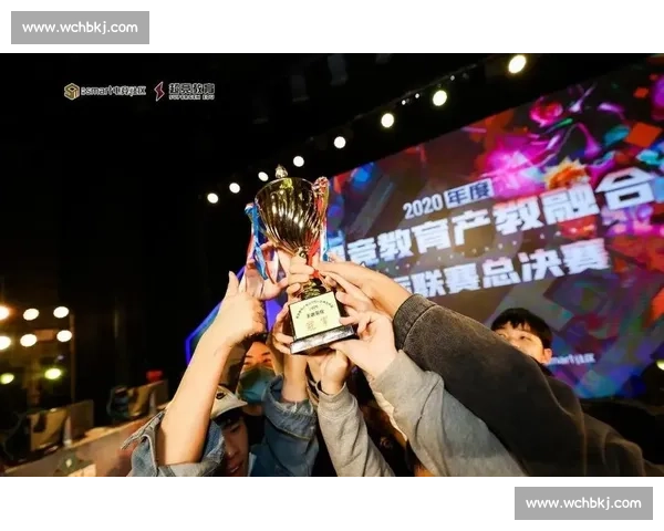 数字体育新篇章：电竞职业化，一场关于规则与尊严的探索